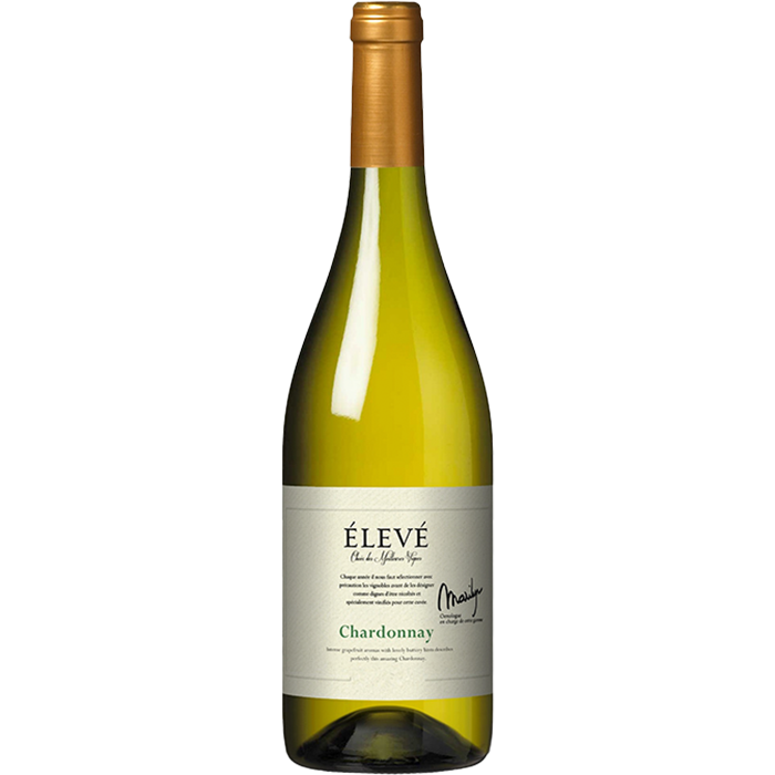 Chardonnay Pays D'Oc IGP 2024