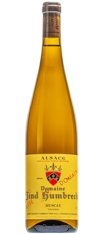 Muscat Turckheim